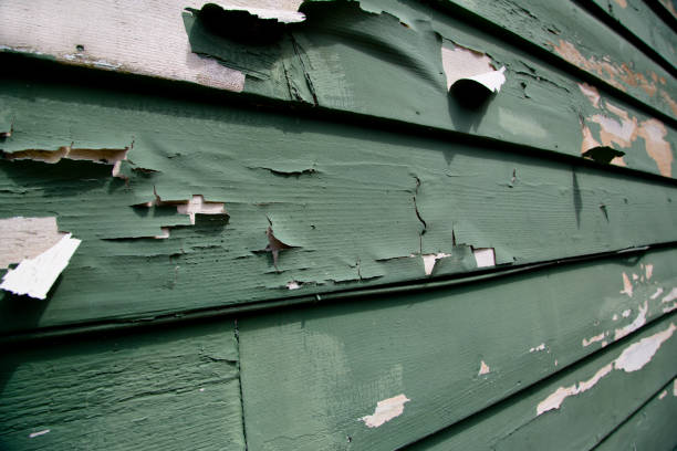 Trusted Arnold, CA Siding Installation & Repair Experts